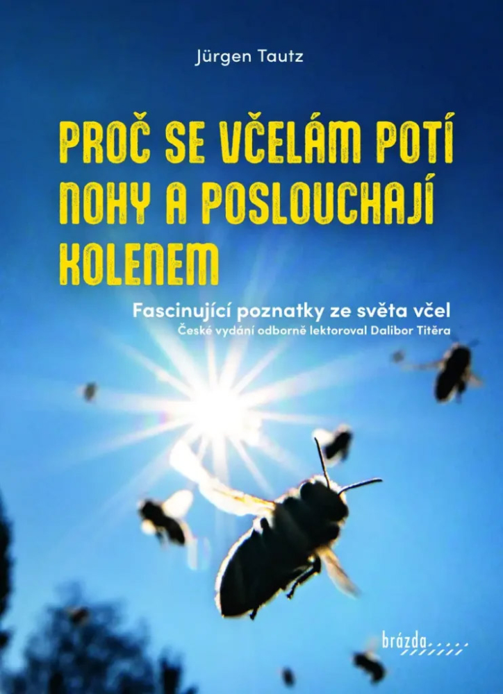 Proč se včelám potí nohy a poslouchají kolenem - Jürgen Tautz