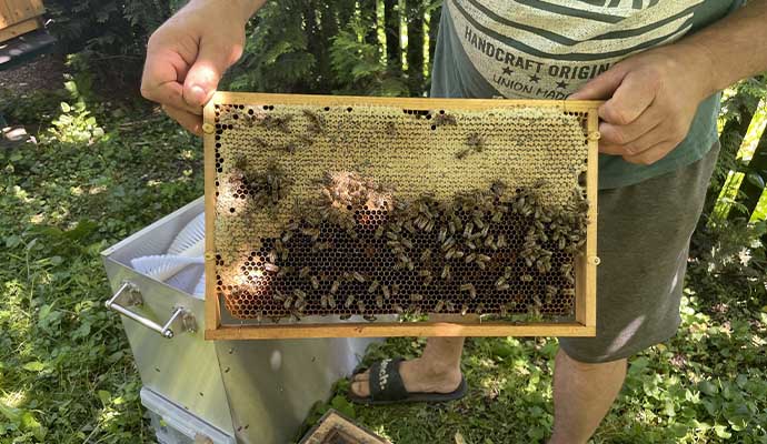 Včelařství Sedlákovi