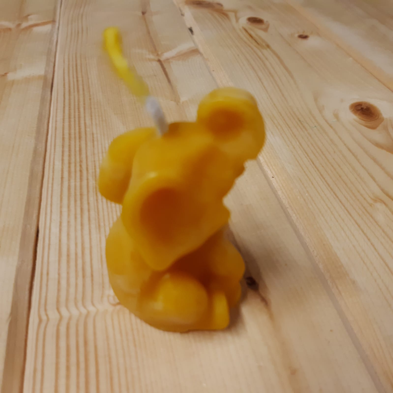 WhatsApp-Image-2021-11-24-at-16.40.58-1.jpeg Sloník - Obrázek 1