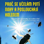 Proč se včelám potí nohy a poslouchají kolenem - Jürgen Tautz