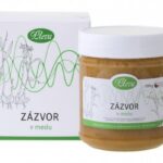 Zázvor lékařský v medu - Pleva