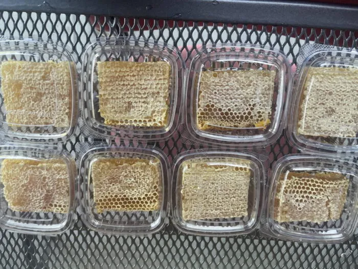 Plástečkový med - Obrázek 7