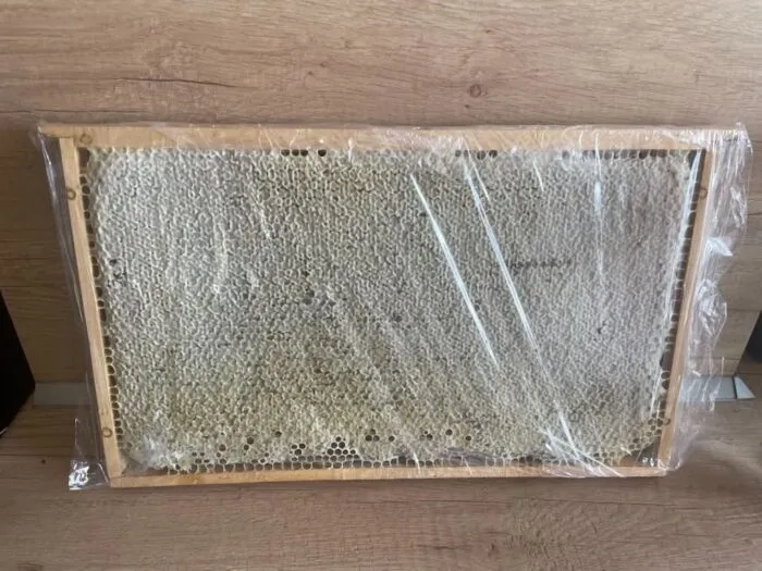 Plástečkový med - Raw med - Obrázek 2
